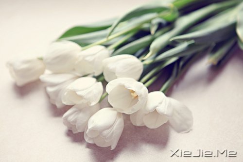 生活中没有理所当然,只有心甘情愿 (6)